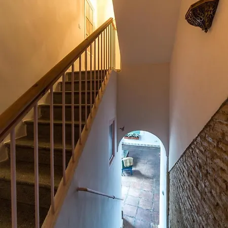 Patio Márquez *
