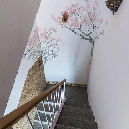 Отель Patio Marquez Кордова