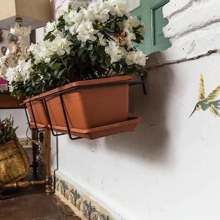 Alojamento de Acomodação e Pequeno-almoço Patio Márquez Córdova